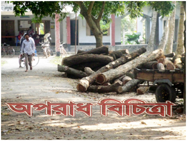 ১৩ নং কচুয়া ইউনিয়ন পরিষদ এখোন ভুতের বসোবাস রাতে চলে মাদক বিচিকিনি