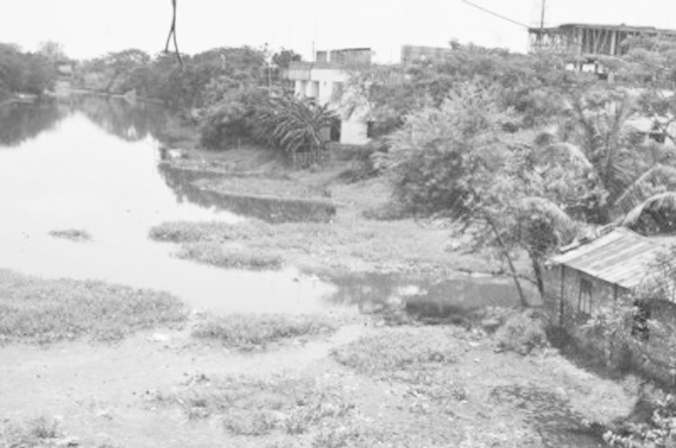 খুলনা ময়ুর নদীর পানি দুষনের প্রতিকার কি