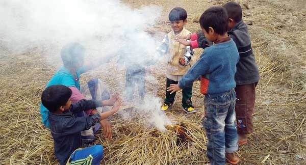 উত্তরাঞ্চলে শীতের প্রকোপ বেড়েছে আলু সরিষা ও ইরিবোরোর বীজতলা নিয়ে চিন্তিত কৃষক