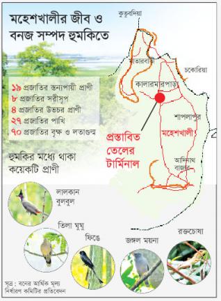 কত দাম সংরক্ষিত বনের
