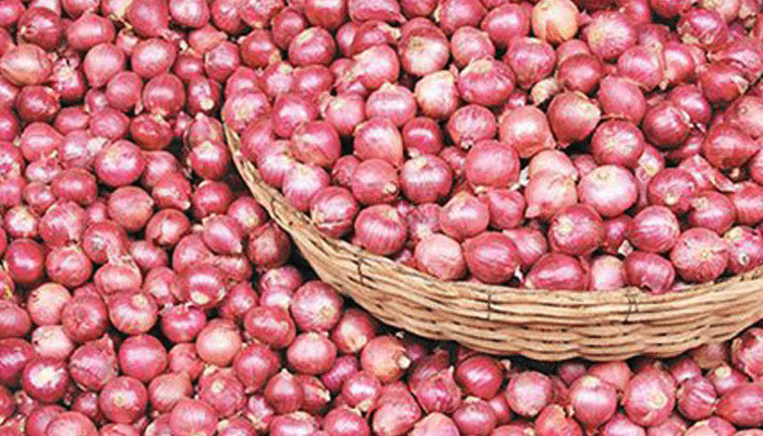 ১০০ টাকাই দর হলো পেঁয়াজের