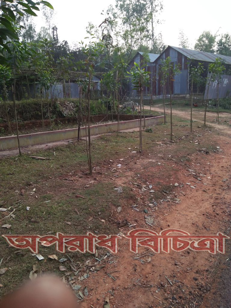 বহেড়াতৈল সদর বিটের বনের গেজেট ভুক্ত জমি ভুমি দস্যদের দখলে ছেড়ে দিচ্ছে অসাধু বন কর্মকর্তারা