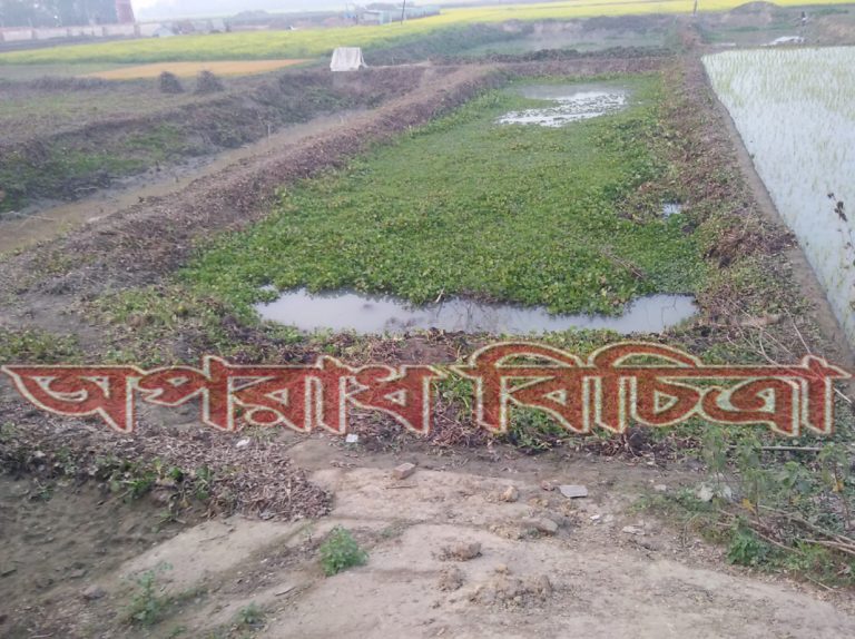 টাংগাইল জেলার দুই হাজার একর ফসলী জমিতে দুই শতাধিক ইটভাটা বিশ হাজার একর ফসলী জমি  তছরোপ