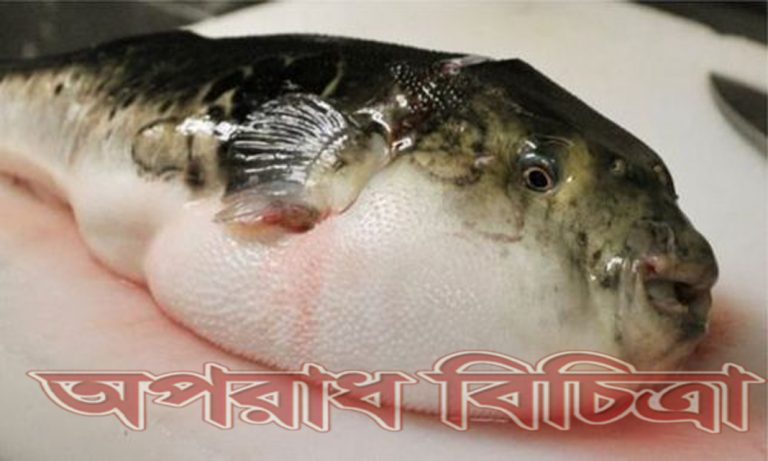জরুরি সতর্কাবস্থা পটকা মাছ খাওয়া থেকে বিরত থাকতে