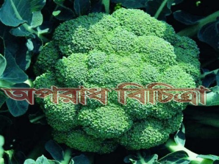 জেনে নিন ব্রোকলি কি কি রোগের প্রতিরোধক