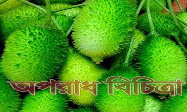 জেনে নিন কাঁকরোল ক্যান্সারের ঝুঁকি কমায়