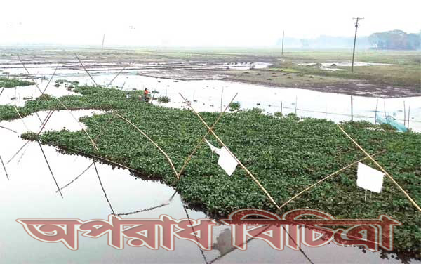 হুমকির মুখে মাছের প্রজনন   শত শত জাগ দিয়ে মাছ চলাচলে প্রতিবন্ধকতা : ডাকাতিয়ায় বিষ প্রয়োগে মাছ শিকার!