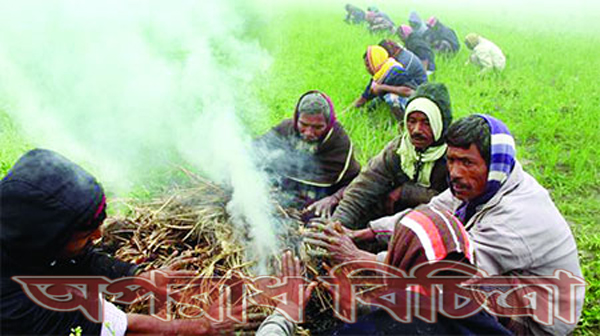 তীব্র শৈত্যপ্রবাহে কাঁপছে দেশ