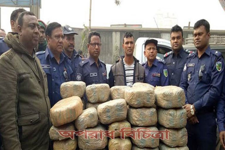 গাঁজা বোঝাই পিকআপভ্যানসহ ১ গ্রেফতার