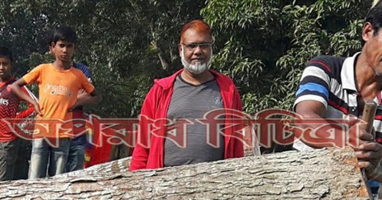 ইউপি চেয়ারম্যান রাস্তার পাশ বাড়ানোর অজুহাতে গাছ কেটে সাবার