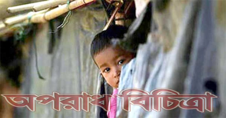 রোহিঙ্গারা নিরাপত্তার নিশ্চয়তা চায় রাখাইনে ফিরে