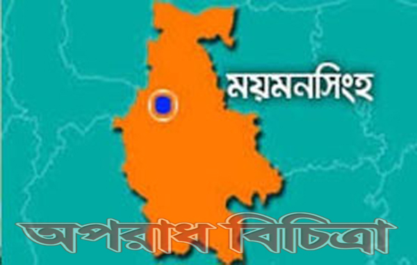 অ্যাম্বুলেন্সের সংঘর্ষে প্রাইভেটকারে আগুন, দগ্ধ ৫
