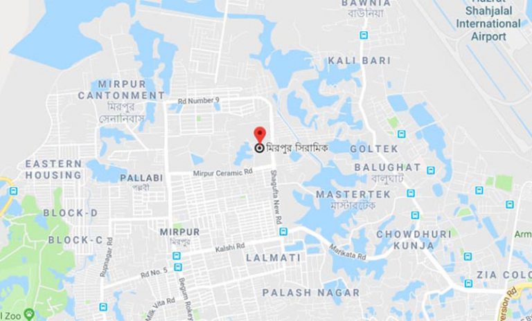 প্রকাশ্যে ছিনতাই মিরপুরে প্রধান সড়কে