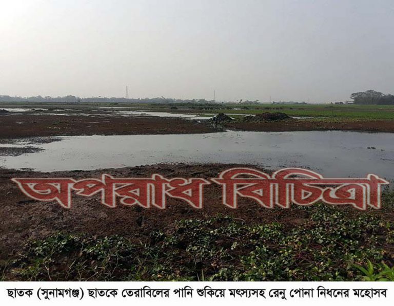 ছাতকে বিল শুকিয়ে মৎস্য নিধনে ইউএনও বরাবর অভিযোগ