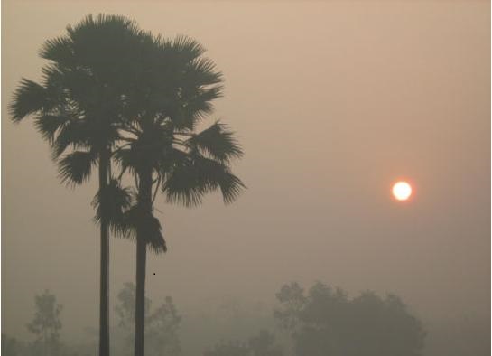 শীতের সকাল