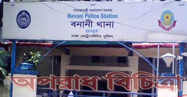 জন্মদিনে ধর্ষণের শিকার তরুণী