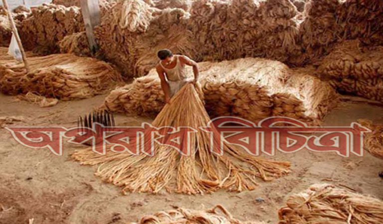 লোকশানের পথে দেশের পাটশিল্প