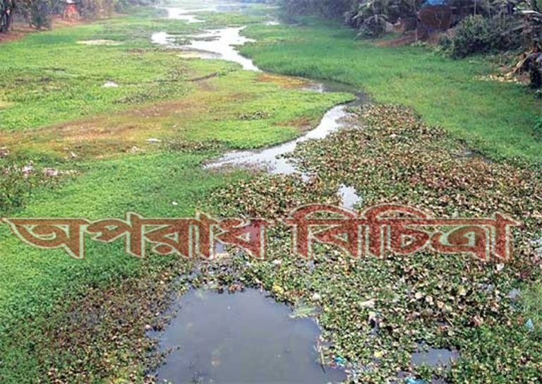 সব নদ-নদী এখন মৃত্যুমুখে