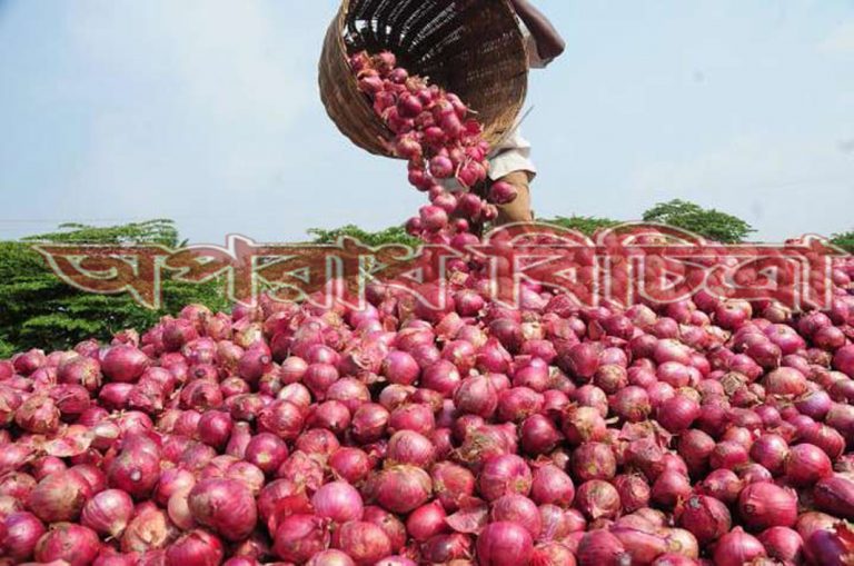 পেঁয়াজ রপ্তানিতে সর্বনিম্ন মূল্য  প্রত্যাহার করে নিয়েছে ভারত