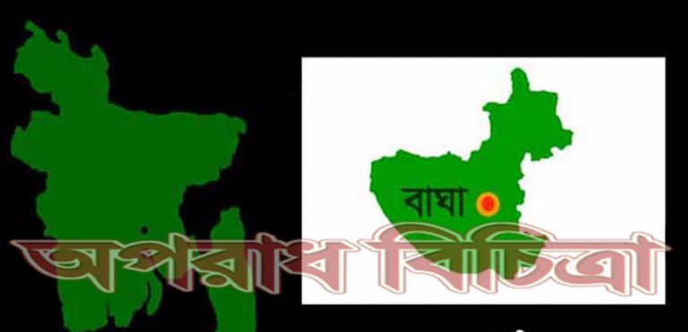 চোরের অপকর্ম, কবর থেকে লাশের কংকাল চুরি