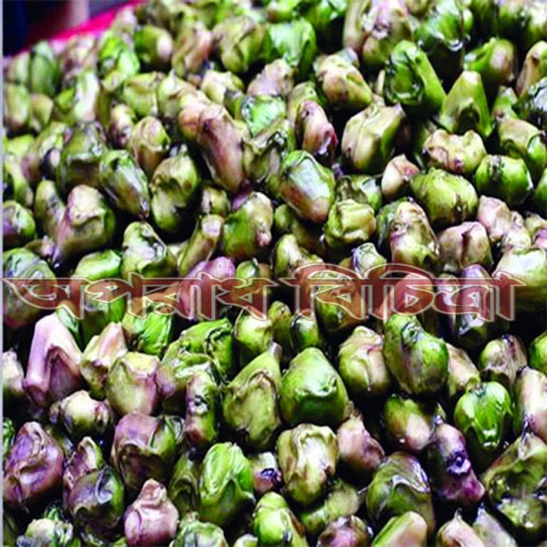 জেনে নিন পানি ফলের উপকারিতা