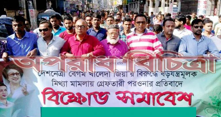 লক্ষ্মীপুরে পৃথক ভাবে বিএনপির বিক্ষোভ সমাবেশ অনুষ্ঠিত