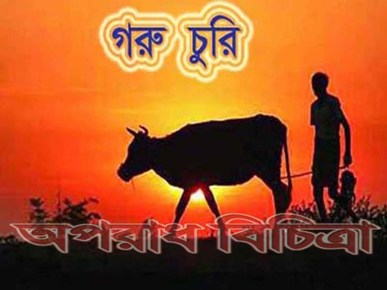 ছাতকে পিকআপও ৩টি গরুসহ ৩ চোর আটক