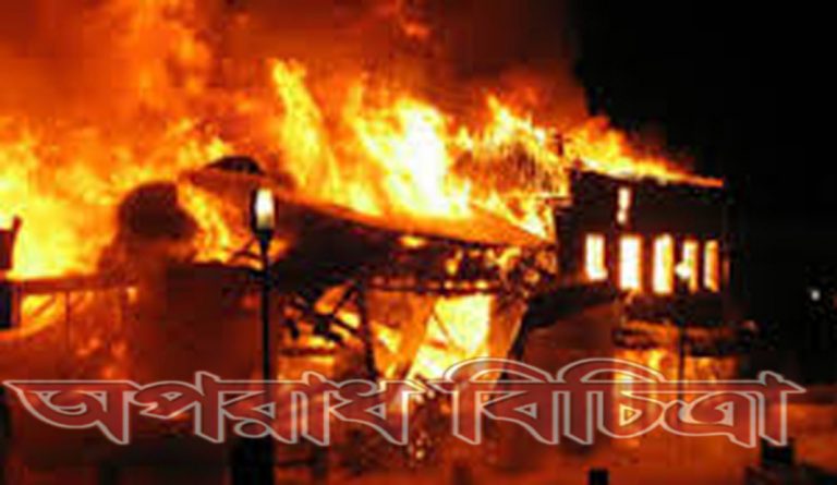 আগুনে পুড়ে ছাই হলো ১০ টি বাড়ি-ঘর