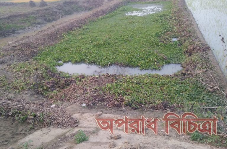 মৌলিক অধিকারের নামে কোটিপতিরা প্রজাতন্ত্রের আইন ভুলুন্ঠিত  করে ইটভাটা স্হাপন;