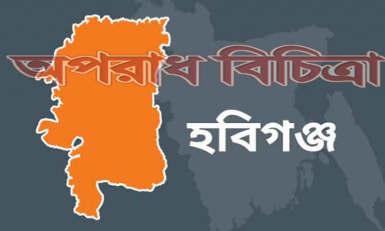 চুনারুঘাটে স¦ামীর পরকিয়ায় গৃহবধুর আত্মহত্যা