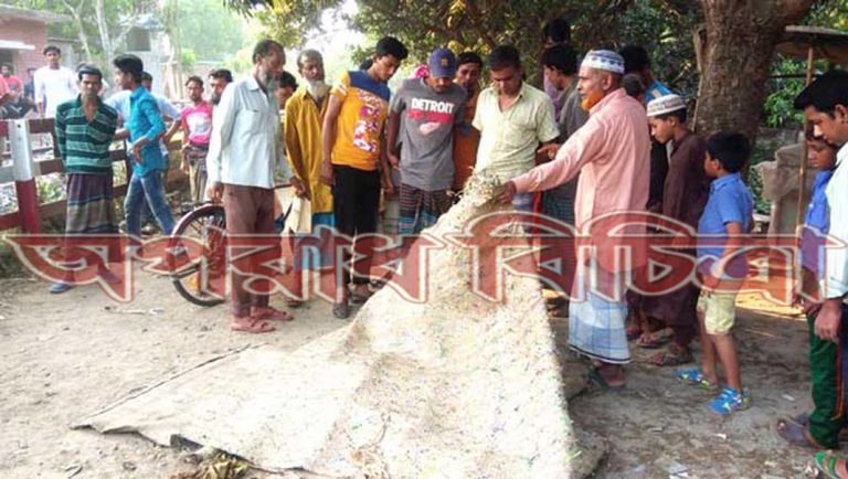 রাজশাহীতে ট্রেনে কাটা পড়ে ২ বৃদ্ধ নিহত