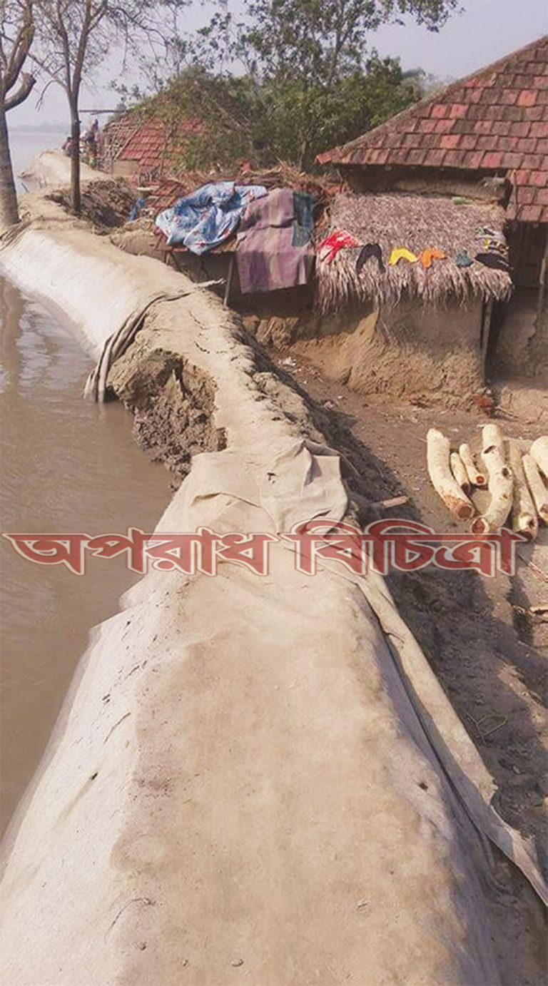 বিলীন হচ্ছে জনপদ নদীর ভাঙনে