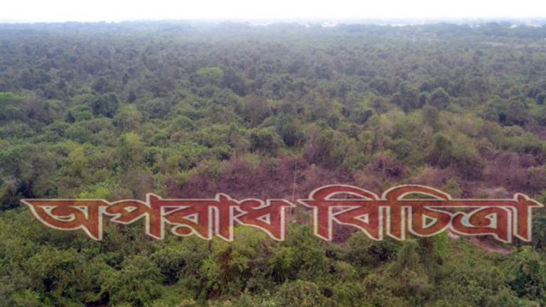 শ্বাসমূলীয় বনটি দূষণ ও শিল্পকারখানার চাপে হুমকির মুখে