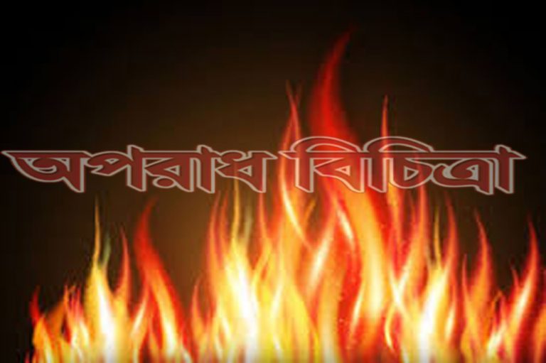 আগুনে ১৬টি দোকান পুড়ে ছাই