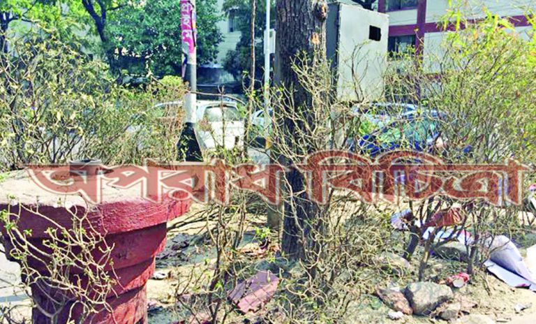 বিরূপ পরিবেশের কারণে নগরে ফুল ফোটেনি