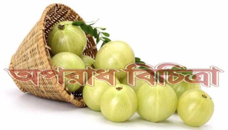 জেনে নিন ভেষজ চিকিৎসার উপকারিতা