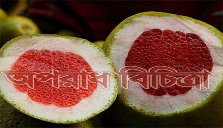 জেনে নিন জাম্বুরার যতগুন