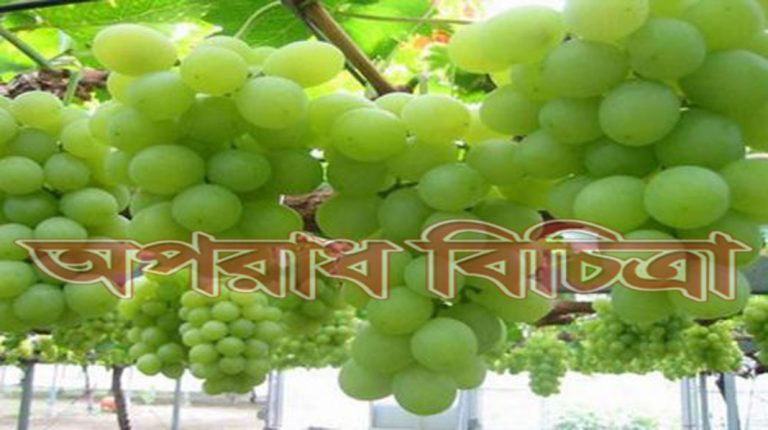 জেনে নিন হৃদরোগের ঝুঁকি কি ভাবে কমায় আঙুর