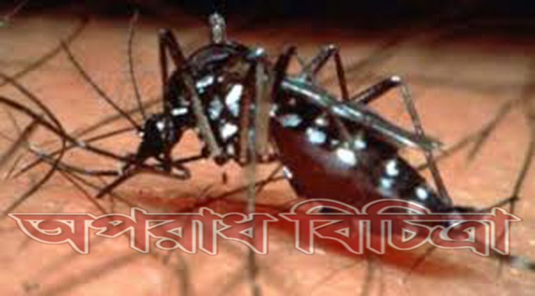 রাজধানী ঢাকা এখন মশার দখলে