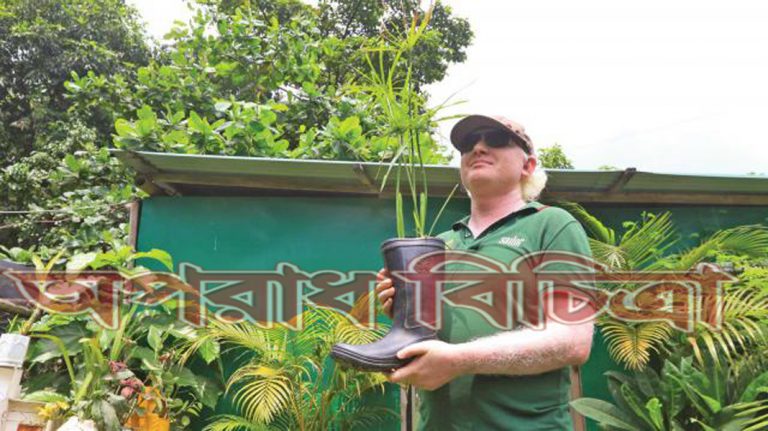 গাছের সুস্থ্যতার জন্য প্রয়োজন গাছের ডাক্তার