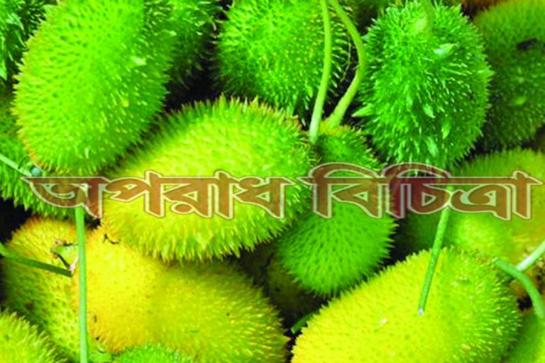 কাঁকরোল খেলে ক্যান্সারের  ঝুঁকি কমে