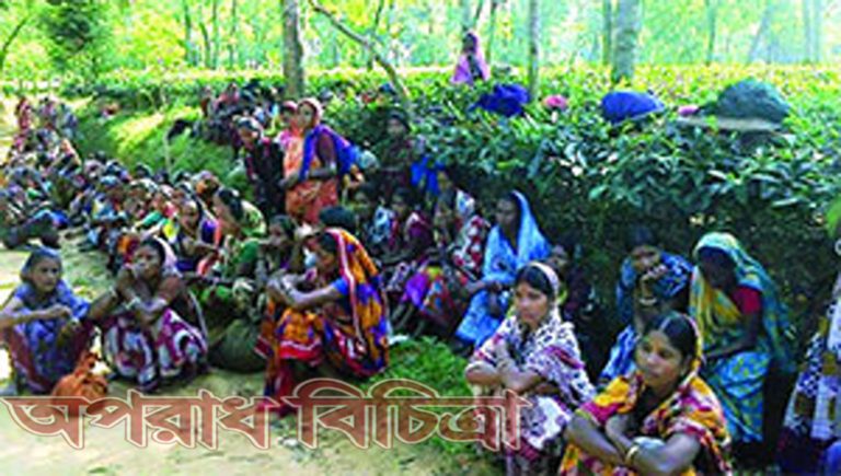 যক্ষ্মায় অধিক ঝুঁকিপূর্ণ রয়েছে চা শিল্প শ্রমিকরা