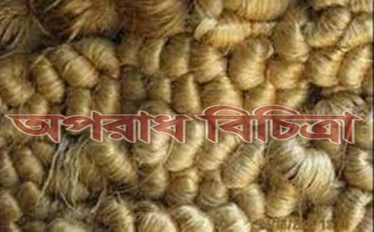 বিশ্ববাজারে পাট ও পাটজাত পণ্যের রপ্তানিতে ঊর্ধ্বগতি দেখা যাচ্ছে