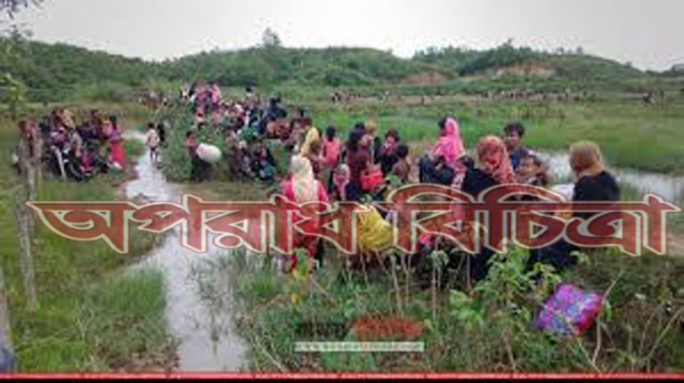 মিয়ানমার সেনাঘাটি তৈরি করছে রোহিঙ্গাদের জমিতে
