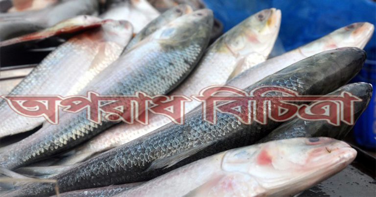 তৈরি হচ্ছে ইলিশের নুডলস এবং স্যুপ