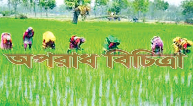অতি দ্রুত হারিয়ে যাচ্ছে কৃষিজমি