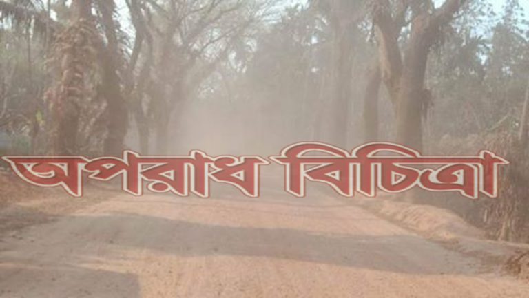 লক্ষ্মীপুর-রায়পুর সড়ক সংস্কার কাজে ধীরগতি
