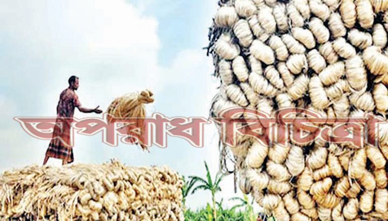 সোনালি আঁশের সেই সোনালি দিন ফিরে আসছে