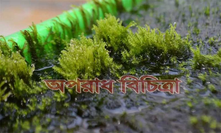 জেনে নিন আর্সেনিক দূর করতে এই উদ্ভিদের উপকারিতা