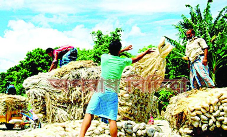 রপ্তানি নিষেধাজ্ঞার জাঁতাকলে পড়ে কৃষকরা ক্ষতিগ্রস্ত